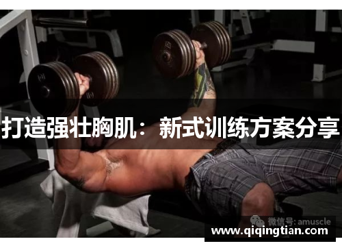 打造强壮胸肌：新式训练方案分享