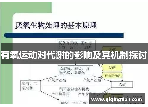 有氧运动对代谢的影响及其机制探讨